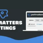 Perfmatters Pro