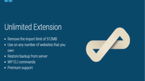 All-in-One WP Migration Unlimited Extension