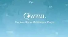 WPML Pro, ترجمة ووردبريس, مواقع متعددة اللغات