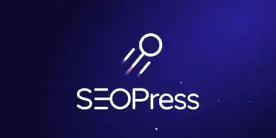 تحسين محركات البحث ووردبريس, SeoPress Pro, أداة SEO
