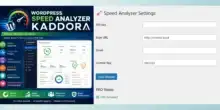 مراجعة WordPress Speed