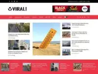 Viral Times WordPress