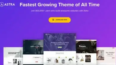 قالب Astra Pro, قوالب ووردبريس احترافية, تصميم مواقع ووردبريس