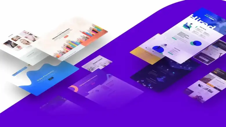 Divi theme