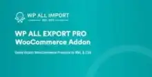 إتقان تصدير بيانات