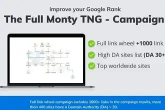 الروابط الخلفية, تحسين محركات البحث, حملات SEO