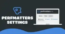 تسريع مواقع ووردبريس, تحسين أداء الموقع, Perfmatters Pro