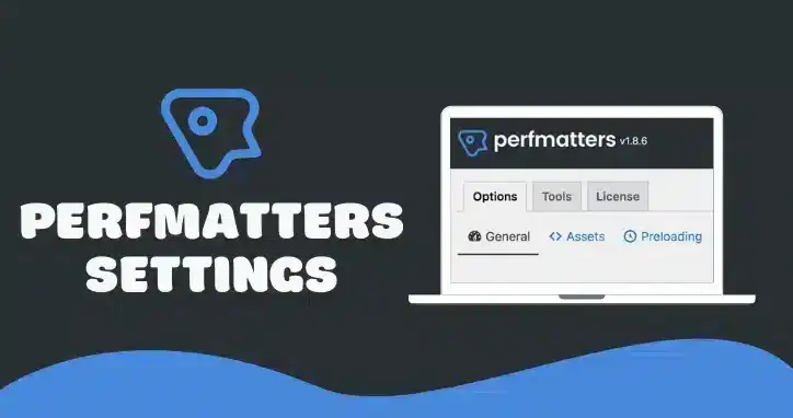 تسريع مواقع ووردبريس, تحسين أداء الموقع, Perfmatters Pro