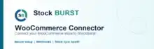 StockBurst Connector