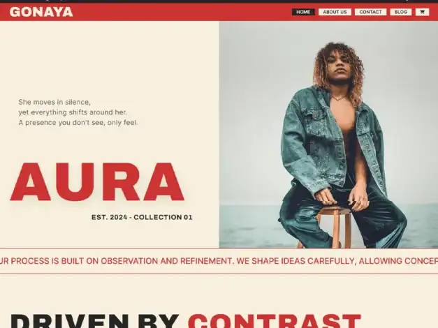 موضوع Gonaya WordPress