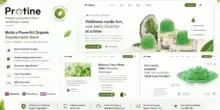 قالب Protine ووردبريس