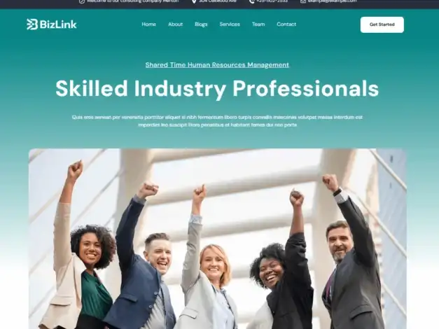 قالب BizLink: الحل