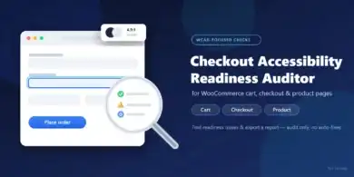 Checkout WCAG Auditor