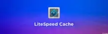 إضافة LiteSpeed Cache, تسريع ووردبريس, تحسين أداء المواقع
