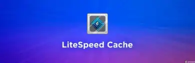 إضافة LiteSpeed Cache, تسريع ووردبريس, تحسين أداء المواقع