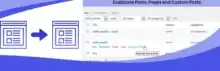 استنساخ الصفحات, إضافة ووردبريس, تكرار المقالات