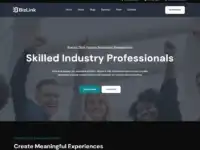 قالب BizLink Dark