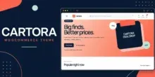 قالب Cartora: الحل