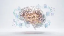 الدماغ الثاني للمؤسسة: