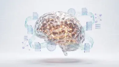 الدماغ الثاني للمؤسسة: